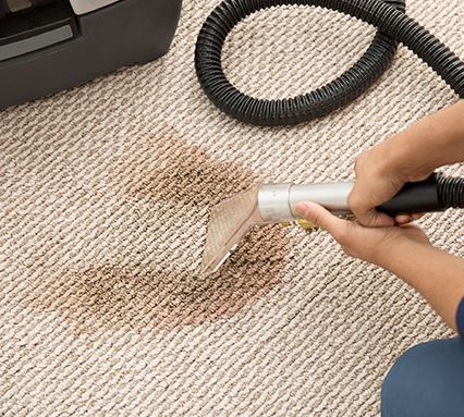 Professional Carpet Cleaner
